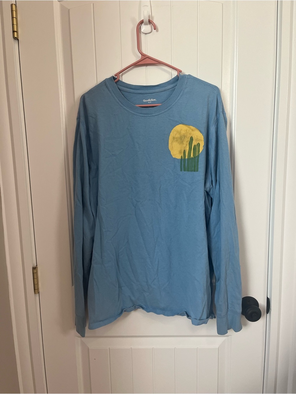 Goodfellow & Co Light Blue Long-Sleeve Tee with Desert Graphic